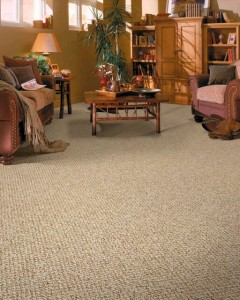 Berber Carpet at Colautti Windsor